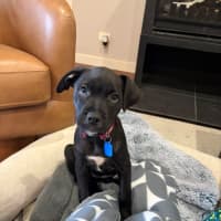 Photo of Betty