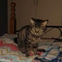 Photo of Nashi (Quinn)