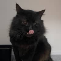 Photo of Buddy