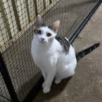 Photo of Nudge