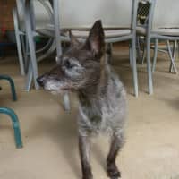 Photo of Jet