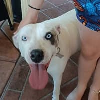 Photo of Jazz