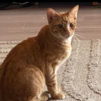 Photo of George