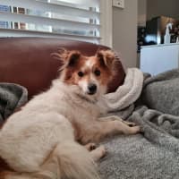 Photo of Basil Silvanus