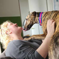 Photo of Sadie