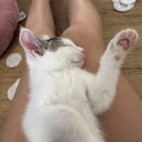 Photo of Biscuit And Bean