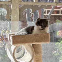 Photo of Kit Kat