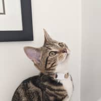 Photo of Pumpkin 💗