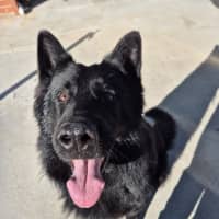 Photo of Archie 💘