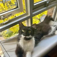 Photo of Polly