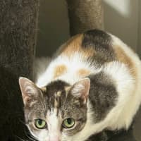Photo of Vera