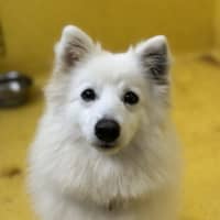 Photo of Crystelle
