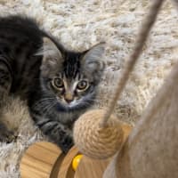Photo of Elsie