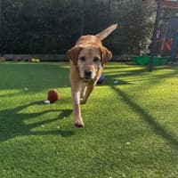 Photo of Dora