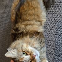 Photo of Carlita