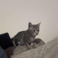 Photo of Max