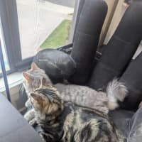 Photo of Wax & Wayne