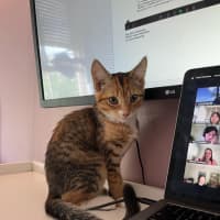 Photo of Jessica