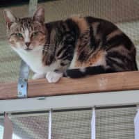 Photo of Chloe
