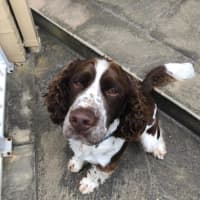 Photo of Ralph Valenti