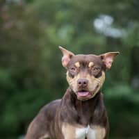 Photo of Maggie