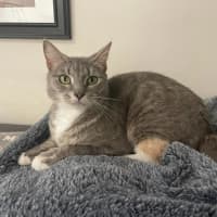 Photo of Faith