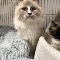 Photo of Maurice (And Dot)