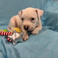 Photo of Cash