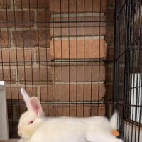 Photo of Gabriel (Gabe)