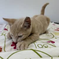 Photo of Bingo