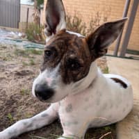 Photo of Missy