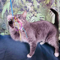 Photo of Greg   Located In Preston