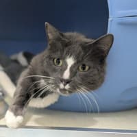 Photo of 💟 Smudge 6353 💟