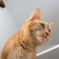 Photo of Narmi