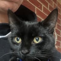 Photo of Prada & Vadar