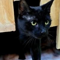 Photo of Monty & Betty