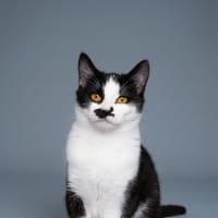Photo of Fiona