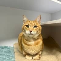 Photo of Carl