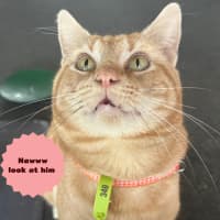 Photo of 🔥Slick Rick🔥