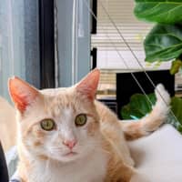 Photo of Mr Bubbles