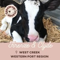 Photo of Firenze & Clyde