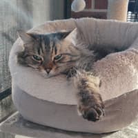 Photo of Jax