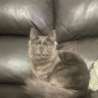 Photo of Hazel