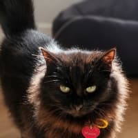Photo of Maggie