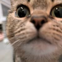 Photo of 💖Rin!!💖