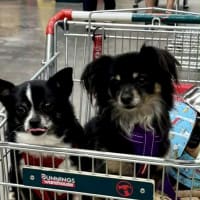 Photo of Cody And Little One