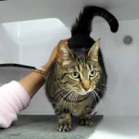 Photo of Leah Sua012872