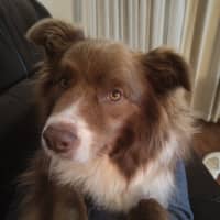 Photo of Mars Bar Slice