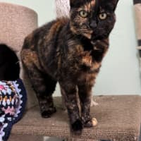 Photo of Minnie