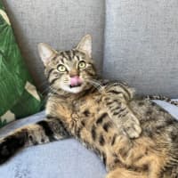 Photo of Max